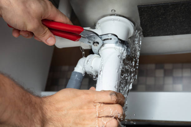 Best Water damage restoration mold remediation  in Tladega, AL