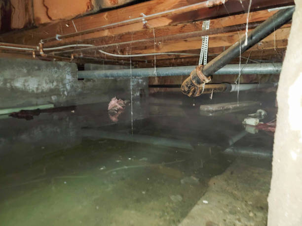 Best 24-hour water damage restoration  in Tladega, AL