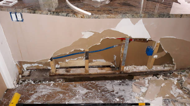 Best Water damage restoration insurance claims  in Tladega, AL