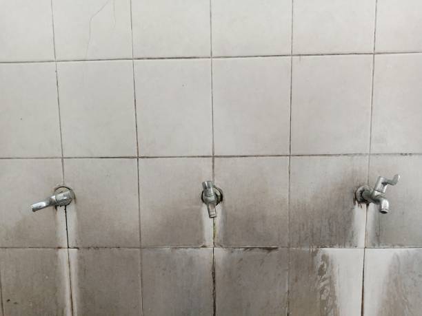 Best Water damage restoration experts  in Tladega, AL