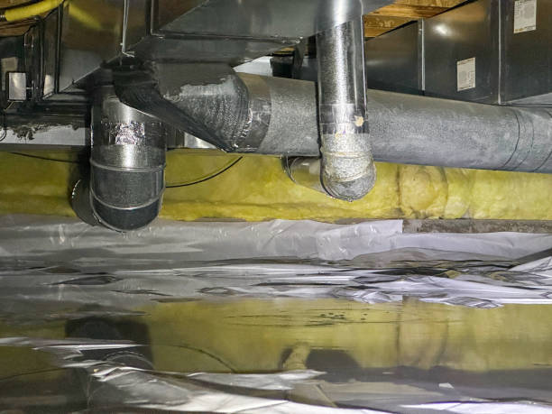 Best Water damage mitigation services  in Tladega, AL